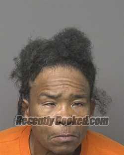 Recent Mugshot Image for DOROTHY ELAINE HAIRSTON in Dubuque County, Iowa