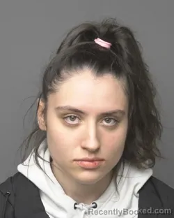 Recent Mugshot Image for CHELSEA LYNN BUSSAN in Dubuque County, Iowa