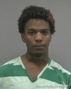 Mugshot of AARON T GRACE