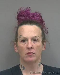 Mugshot of ASHLEY ELIZABETH WILLIAMS