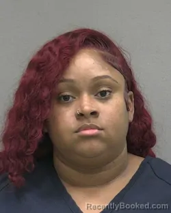 Booking photo from Alachua County, Florida