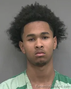Booking photo from Alachua County, Florida