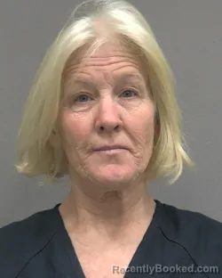 Mugshot of AMIE LORAINE BOYETTE