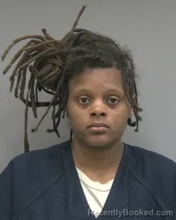Mugshot of SHANTELL LANORA DIAMOND WELLS