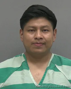 Mugshot of FREWLI SARAIN ROBLERO VELAZQUEZ