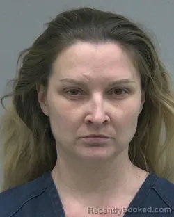 Mugshot of ROBYN LEE MANN