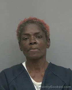 Mugshot of PAMELA RENEE LAWRENCE
