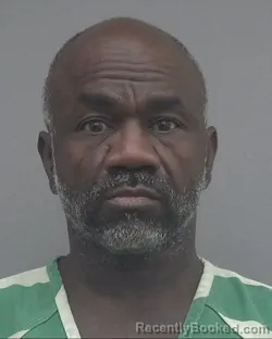 Mugshot of CHE VE LANEAL TARVER FEAGIN