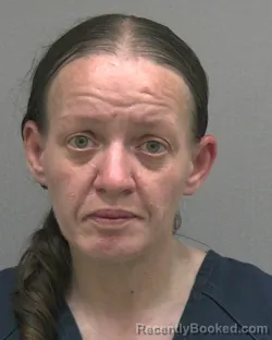 Mugshot of BRANDY LENN SCHNYDER