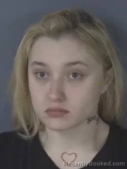 Booking photo from Clay County, Florida