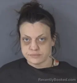 Mugshot of ASHLEY DALVINE