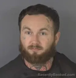 Mugshot of ALLAN GIEGER