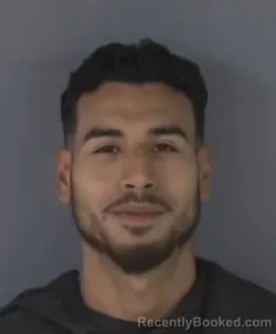 Mugshot of DAVID PEREZ