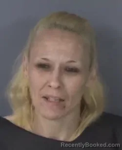 Mugshot of LISA HUNT