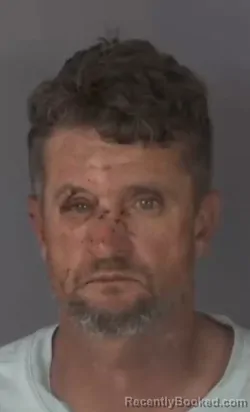 Mugshot of ROBERT GALLION