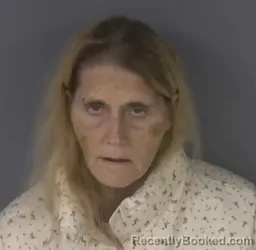 Mugshot of SUZANNE STRELLA