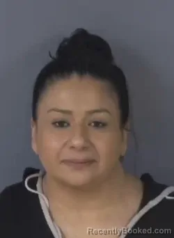 Booking photo from Clay County, Florida