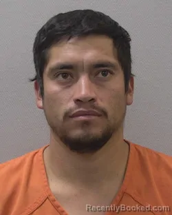 Mugshot of RODOLFO CONTREAS LOPEZ