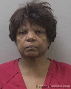 Mugshot of VIRGINIA LOUISE NARED