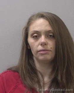 Mugshot of LINDA A LEE