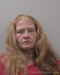 Mugshot of TINA LOUISE DONAHUE