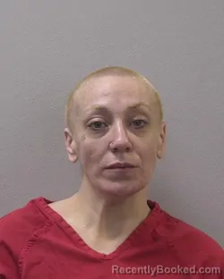 Mugshot of AMANDA MARIE RIOUX