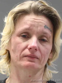 Mugshot of JAMIE ALISSA PETERSON