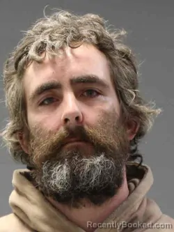 Mugshot of DAVID ROBERT ENTIN