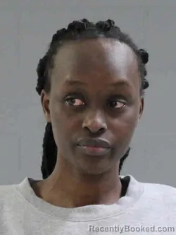 Mugshot of JAEDIDA NAINI