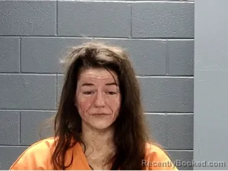 Mugshot of SHELLY RENEE HEATH