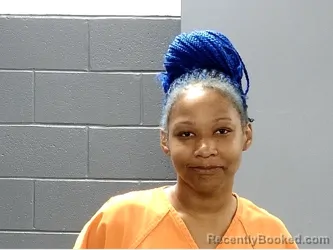 Mugshot of CAMDEN ALASIA GILLARD