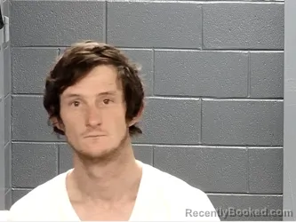 Booking photo from Marion County, South Carolina