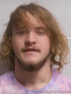 Booking photo from Henry County, Iowa