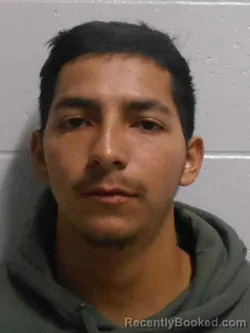 Mugshot of DELGADO YONER VALLEJOS