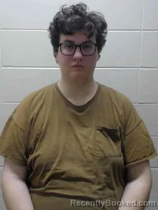 Booking photo from Ida County, Iowa