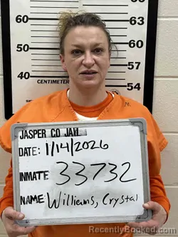Mugshot of CRYSTAL DAWN WILLIAMS