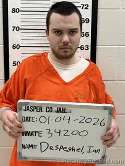 Mugshot of IAN FRANK LEE DESPEGHEL