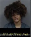 Booking photo from Linn County, Iowa