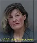Mugshot of JULIE MARIE CLARK