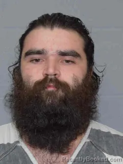 Mugshot of DYLAN BRENDON JAMES MIEDL