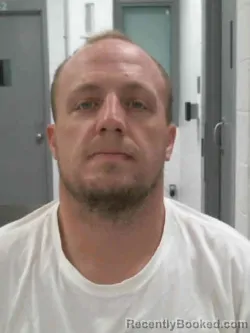 Mugshot of DWAYNE WILBUR HENRY HICKS