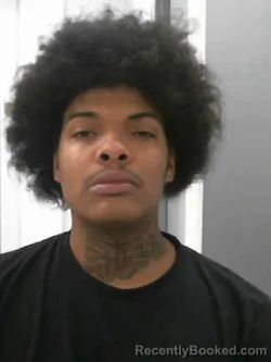 Mugshot of XAVARIEN BRYANT HERNANDEZ