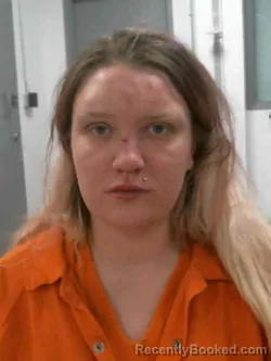 Mugshot of BRANDI LEE KNORR