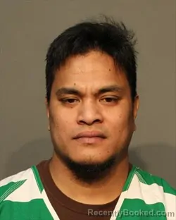 Mugshot of TIFFANSON APAISAM