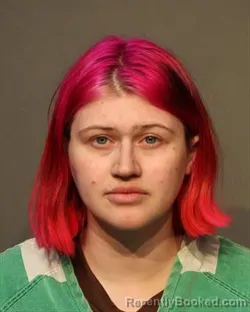 Mugshot of JESSICA ANN JOHNSON