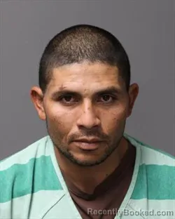 Mugshot of LUIS ALBERTO GAITAN PACHECO