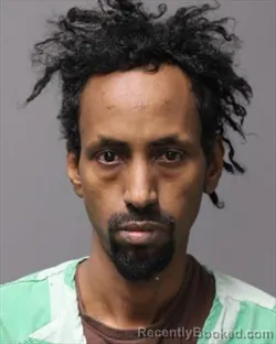 Mugshot of MOHAMED ABDIKARIN ALI