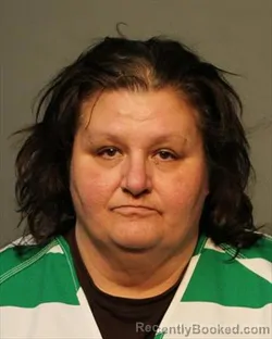 Mugshot of ALLISON KAY WEGNER