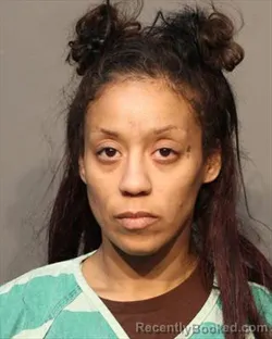 Booking photo from Polk County, Iowa