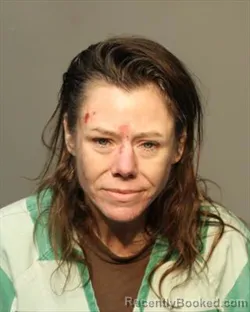 Mugshot of TRACI LYNN AMERSON